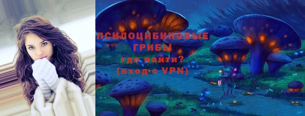 индика Верхнеуральск